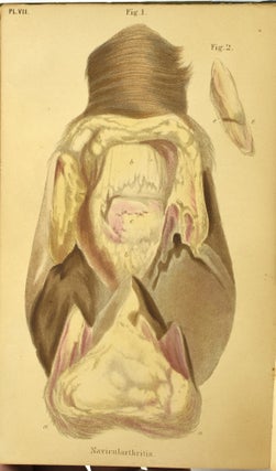 LAMENESS IN THE HORSE: WITH COLOURED LITHOGRAPHIC PLATES, ILLUSTRATIVE OF THE DIFFERENT SPECIES OF LAMENESS. PART I, VOL. IV OF ‘HIPPOPATHOLOGY’.