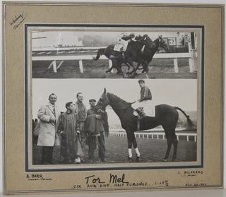 Item #253565 RACEHORSE “TOR MEL”. ORIGINAL PHOTO