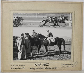 Item #253568 RACEHORSE “TOR MEL”. ORIGINAL PHOTO