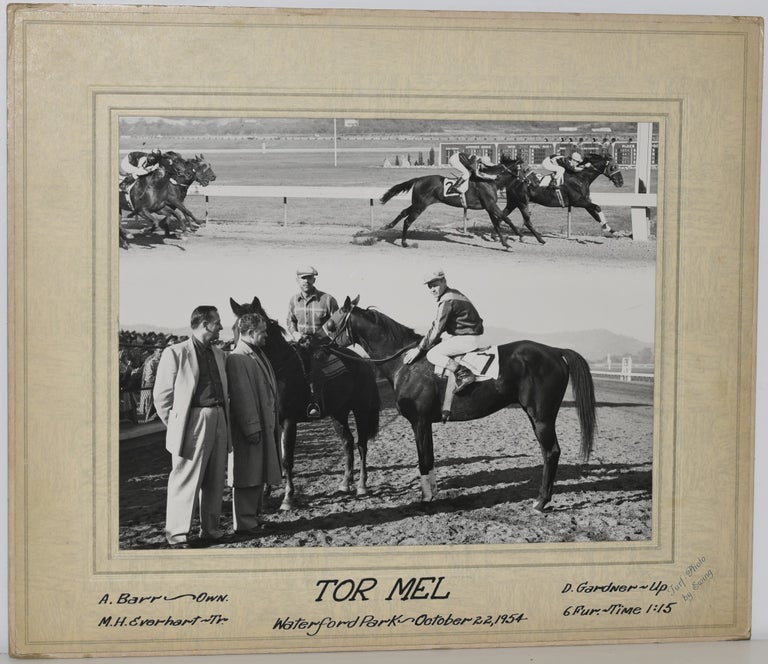 Item #253568 RACEHORSE “TOR MEL”. ORIGINAL PHOTO.