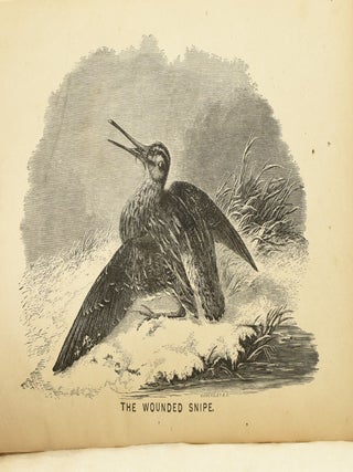 PLAIN DIRECTIONS FOR ACQUIRING THE ART OF SHOOTING ON THE WING. WITH USEFUL HINTS CONCERNING ALL THE RELATES TO GUNS AND SHOOTIGN, AND PARTICULARLY IN REGARD TO THE ART OF LOADING SO AS TO KILL.
