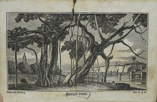 NATURAL HISTORY. FOR SUNDAY SCHOOLS. COMPILED, CHIEFLY, FROM THE LIBRARY OF ENTERTAINING KNOWLEDGE. VOLUME IX. FRUITS. (ONE VOLUME ONLY)