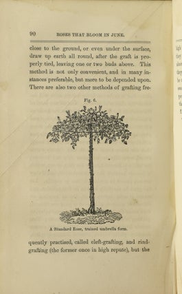 [GARDENING] [NURSERY] THE ROSE MANUAL; CONTAINING ACCURATE DESCRIPTIONS OF ALL THE FINEST VARIETIES OF ROSES,... WITH DIRECTIONS FOR THEIR PROPAGATION, AND THE DESTRUCTION OF INSECTS. WITH ENGRAVINGS.