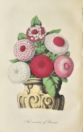 Item #295479 [BOTANICAL PLATES] THE FLORICULTURAL CABINET, AND FLORISTS’ MAGAZINE. JANUARY TO...