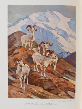 [SPORTING] IN THE SHADOW OF MOUNT McKINLEY