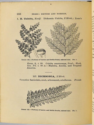 [GARDENING] FERNS: BRITISH & FOREIGN. THEIR HISTORY, ORGANOGRAPHY, CLASSIGICATION, AND ENUMERATION; WITH A TREATISE ON THEIR CULTIVATION, ETC. ETC.