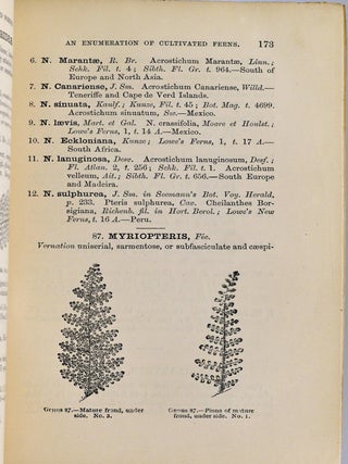 [GARDENING] FERNS: BRITISH & FOREIGN. THEIR HISTORY, ORGANOGRAPHY, CLASSIGICATION, AND ENUMERATION; WITH A TREATISE ON THEIR CULTIVATION, ETC. ETC.