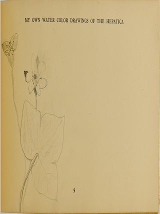 [GARDENING] [DIARY] MY OWN BOOK OF THREE FLOWERS WHICH BLOSSOM IN APRIL / MAY