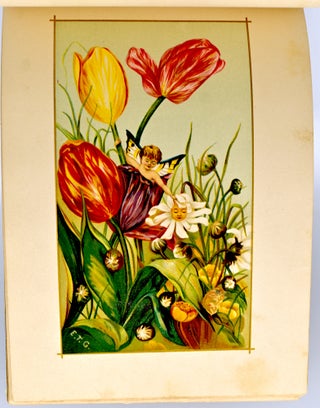 BUTTERCUPS AND DAISIES. SONGS OF A SUMMER.