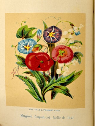 [GARDENING] LE LANGAGE DES FLEURS