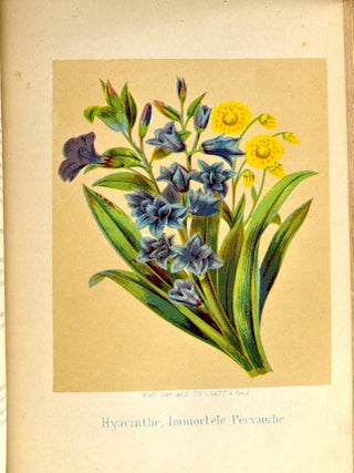 [GARDENING] LE LANGAGE DES FLEURS